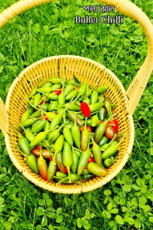 2 x Bullet Chilli Live Plant / Hybrid Pola Chilli Plant / পলা ঝালের গাছ / বুলেট চিলির গাছ /Pahari Chili/পাহাড়ি ধানি মরিচ
