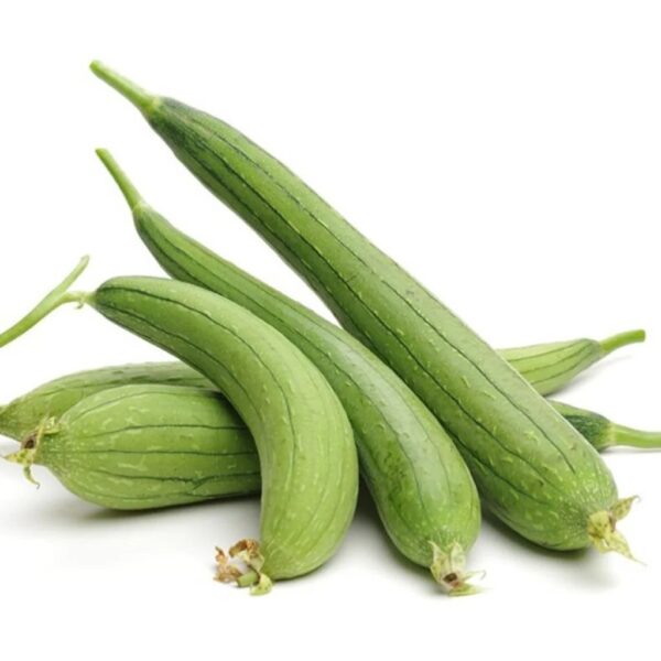 Desi Sponge Gourd is Luffa Aegyptiaca Seeds / Desi Dhundol Seeds/ Green Sponge Gourd / দেশী শোভা সবুজ ধুন্দলের বীজ