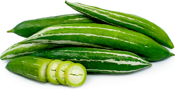 Hybrid Snake Gourd F1 Seeds / হাইব্রীড এফ ওয়ান চিচিঙ্গার বীজ