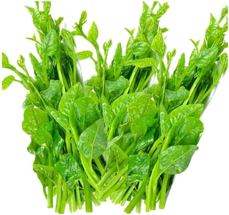 Pui shak poi shak seeds