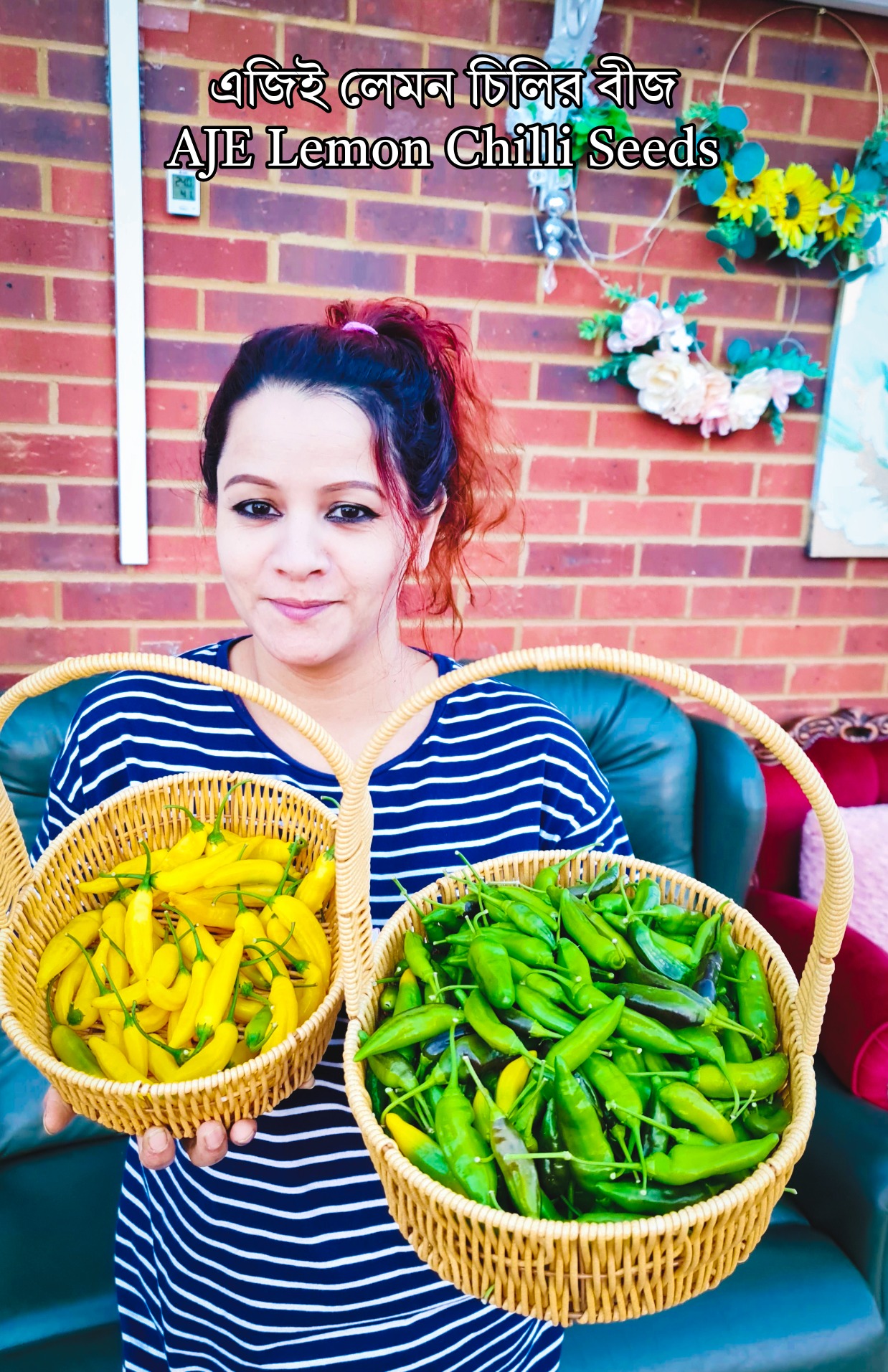 AJE Lemon Chilli Seeds - 10 Seeds | এজিই লেমন চিলির বীজ