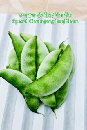 1 x স্পেশাল খাট শীম গাছ / Special Chittagong Khato Shem Gach